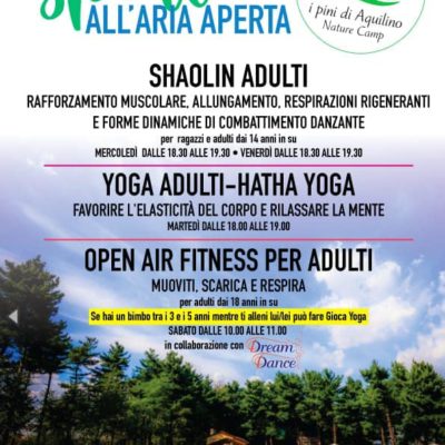 OPEN AIR FITNESS
